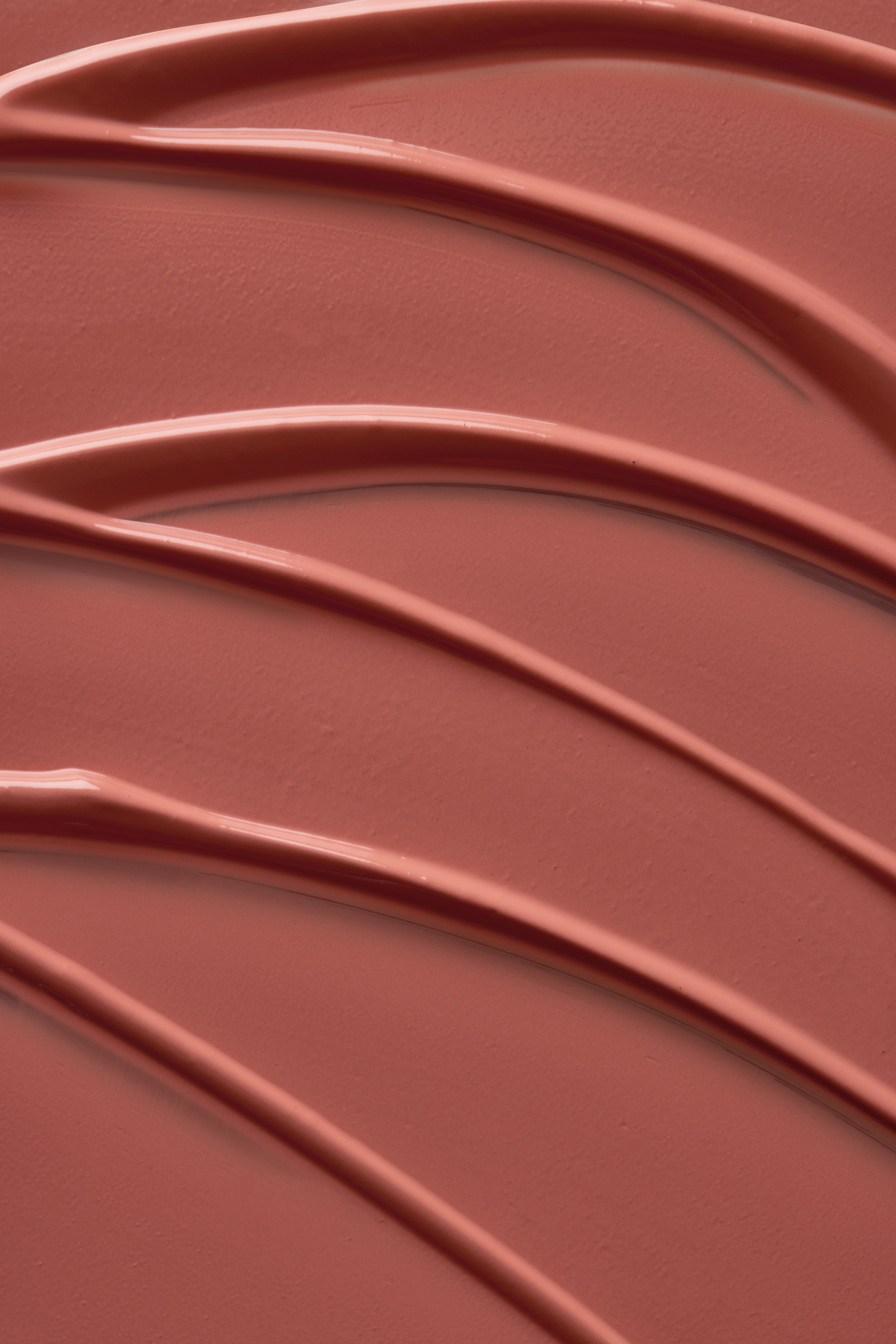 Beauty Creations Seal The Deal Liquid Lipstick Snatched